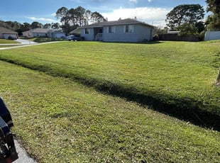 Anthony A.'s lawn care service result