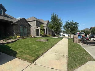Edito R.'s lawn maintenance service result