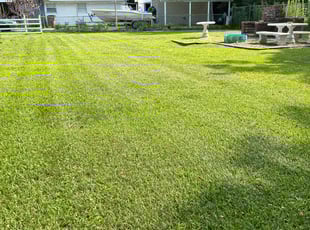 Rose P.'s lawn care services service result