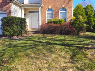 Mary Q.'s lawn care services service result