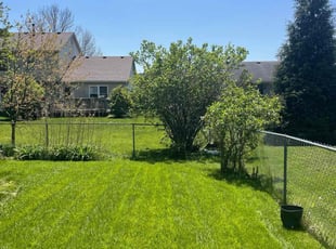 Marianne A.'s Bush Trimming service result