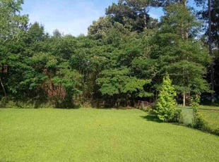 Tim G.'s lawn maintenance service result