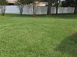 Nathan G.'s lawn maintenance service result