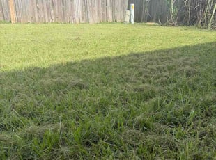 Stephen S.'s lawn maintenance service result