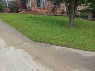 Sherry W.'s grass cutting service result