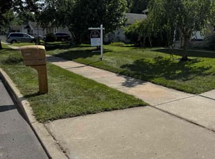Marcus L.'s turf care service result