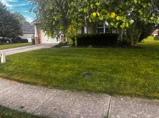 Victor A.'s lawn care service result