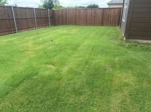 Christy C.'s grass cutting service result