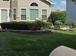 Joe D.'s Bush Trimming service result