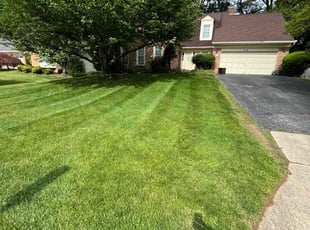 Carol E.'s lawn service service result