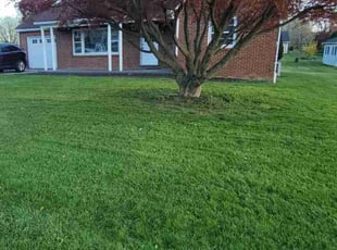 Kimberly M.'s turf maintenance service result