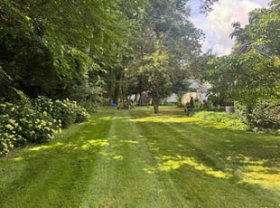 Brandy M.'s turf care service result