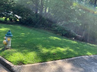 Scott S.'s turf care service result