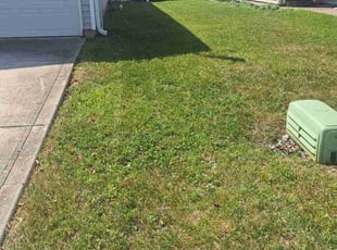 Donald F.'s turf maintenance service result