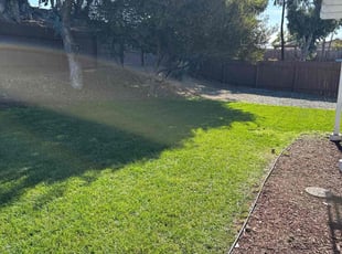 Samuel M.'s lawn care services service result