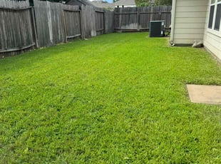 Bill M.'s grass cutting service result