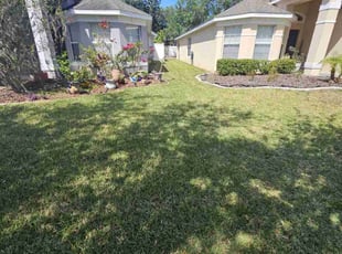 Rose A.'s turf care service result