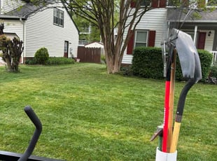 Lamar M.'s lawn care service result