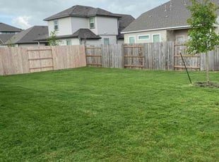 Souheil N.'s turf maintenance service result