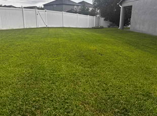 Ranavy R.'s grass maintenance service result