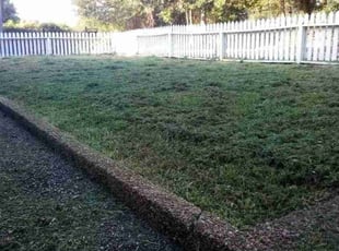 Joelle G.'s turf maintenance service result