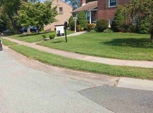 Gene A.'s lawn service service result