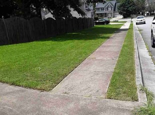 Tanya S.'s grass cutting service result
