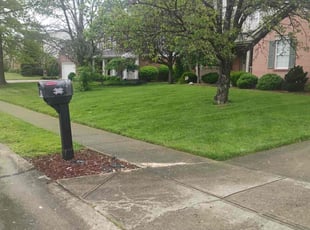 Rhonda N.'s lawn maintenance service result