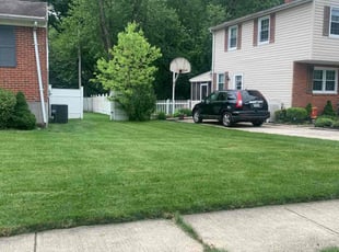 Mariel P.'s grass cutting service result