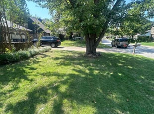 Matt M.'s lawn maintenance service result