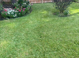 Bob A.'s grass cutting service result