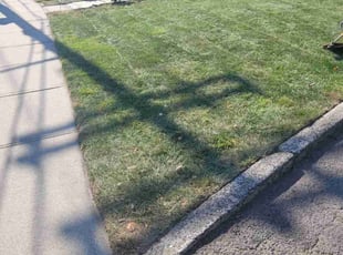 Jojo A.'s grass cutting service result