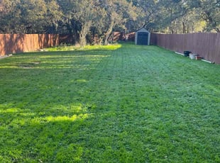 James C.'s grass maintenance service result