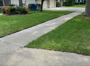Shavonda J.'s grass cutting service result