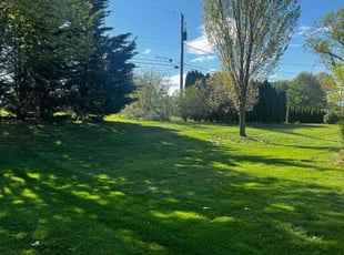 Kim N.'s lawn maintenance service result