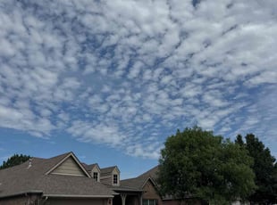 David G.'s lawn service service result