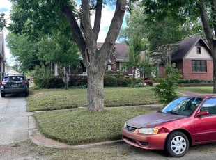 Stacey M.'s lawn care service result