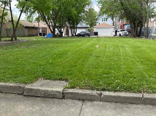 Greg S.'s lawn care service result