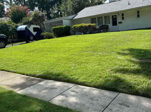 Leigh K.'s lawn maintenance service result
