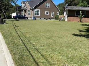 Taylor E.'s grass cutting service result