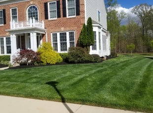 Sheila F.'s Other service result