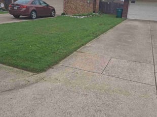 Alexander B.'s lawn care service result