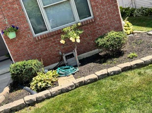 Byron P.'s Bush Trimming service result