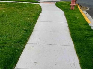 Marchell D.'s lawn care service result