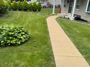 Wendy L.'s grass maintenance service result
