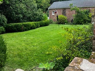 Ronald N.'s turf care service result
