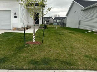 Robin B.'s grass cutting service result