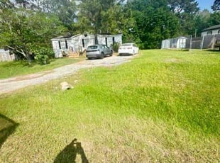 Patrick C.'s grass maintenance service result