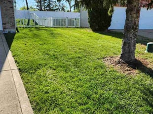 Cindy E.'s grass maintenance service result