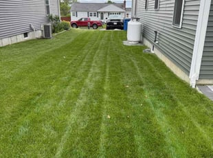 James R.'s turf care service result